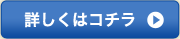 VehicleVisionについて詳しくはコチラ